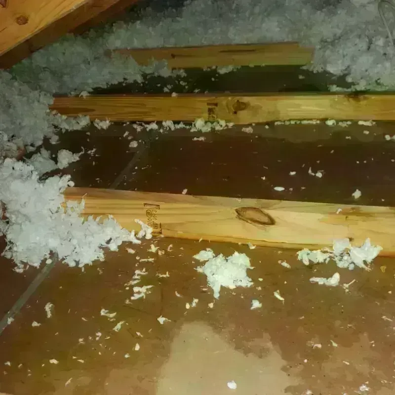 Attic Water Damage in Franklin, WV