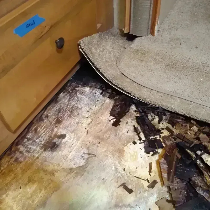 Wood Floor Water Damage in Franklin, WV